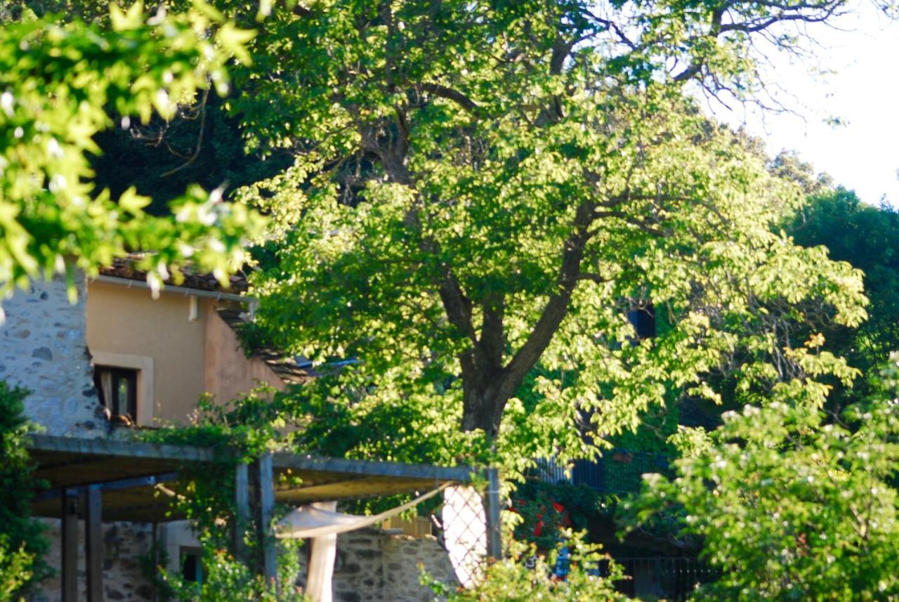 Bed and Breakfast Le Moulin D'Arcas. Prémian Zewnętrze zdjęcie