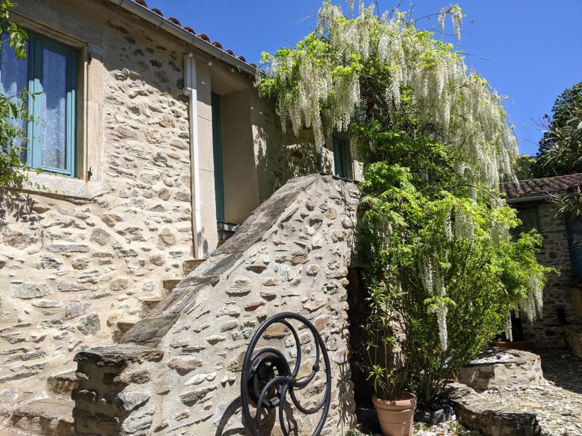 Bed and Breakfast Le Moulin D'Arcas. Prémian Zewnętrze zdjęcie